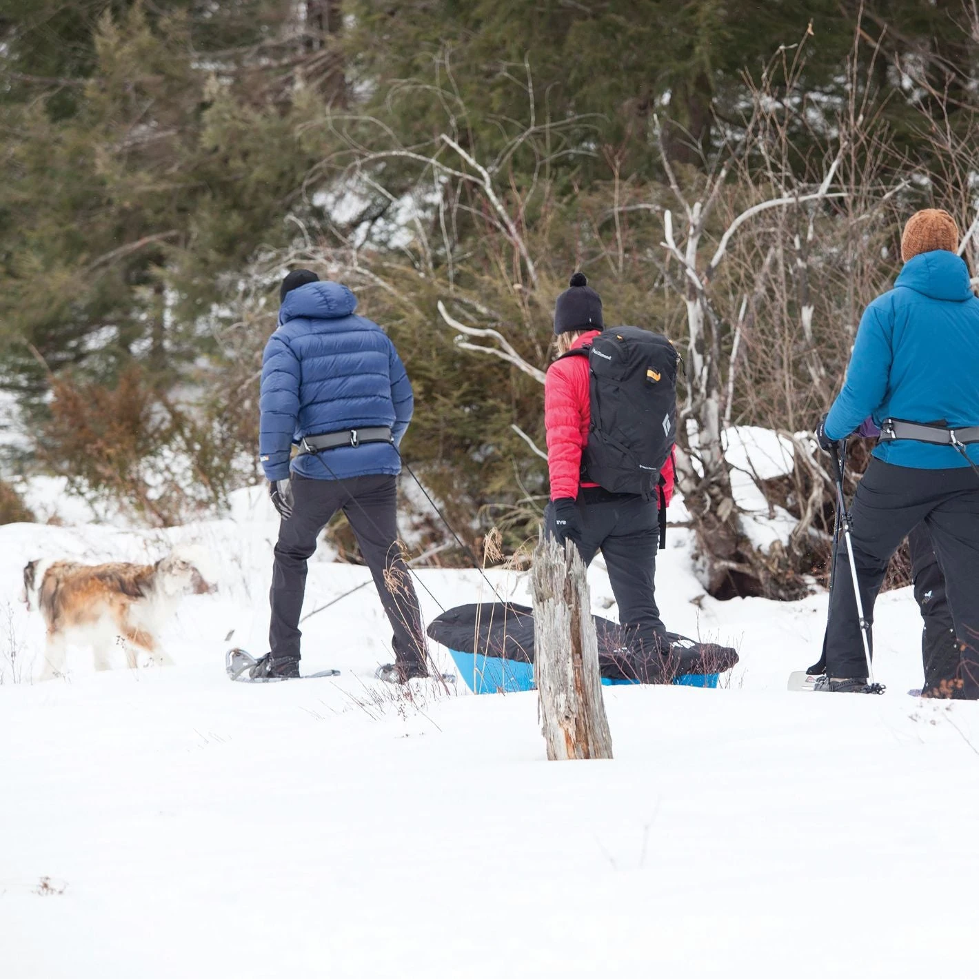 Pelican Sport Trek 52 Utility Sled - Image 3