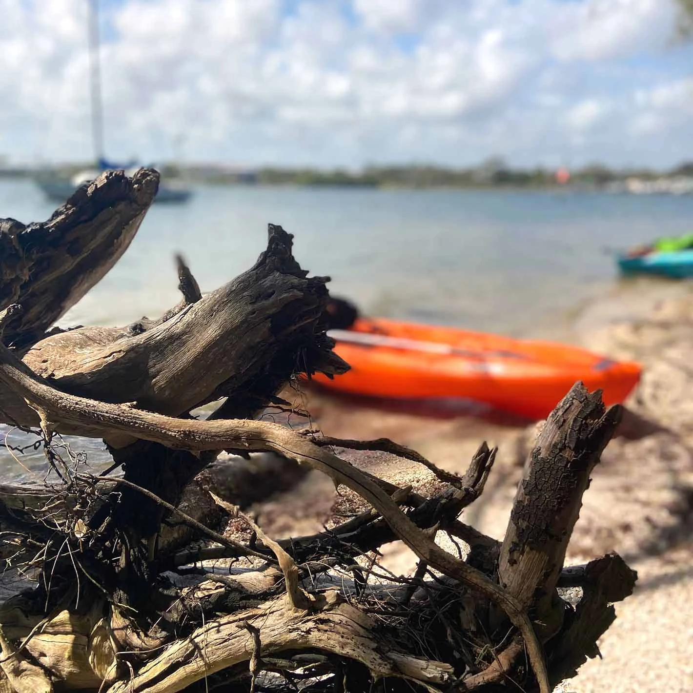 Pelican Sport Pulse 100X With Paddle Kayak - Image 10